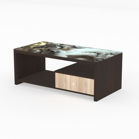 SCT 307 Coffee Table